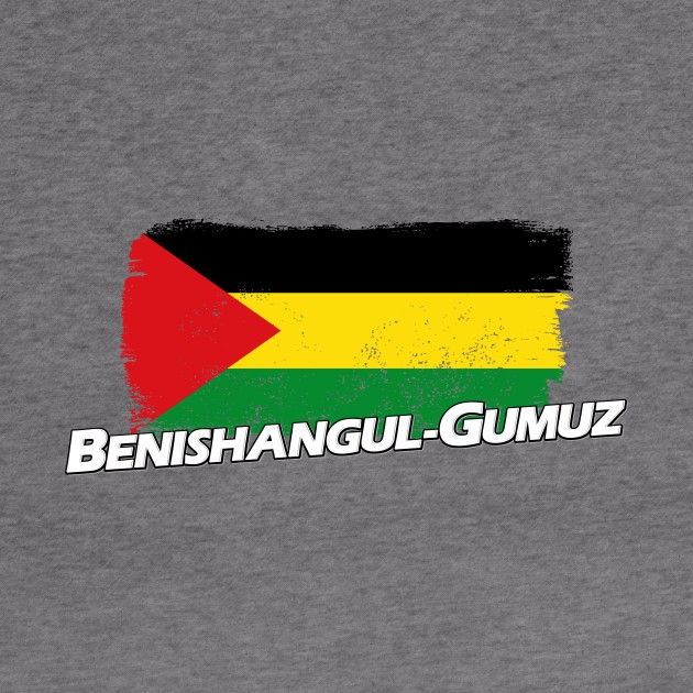 Benishangul-Gumuz Region flag by PVVD